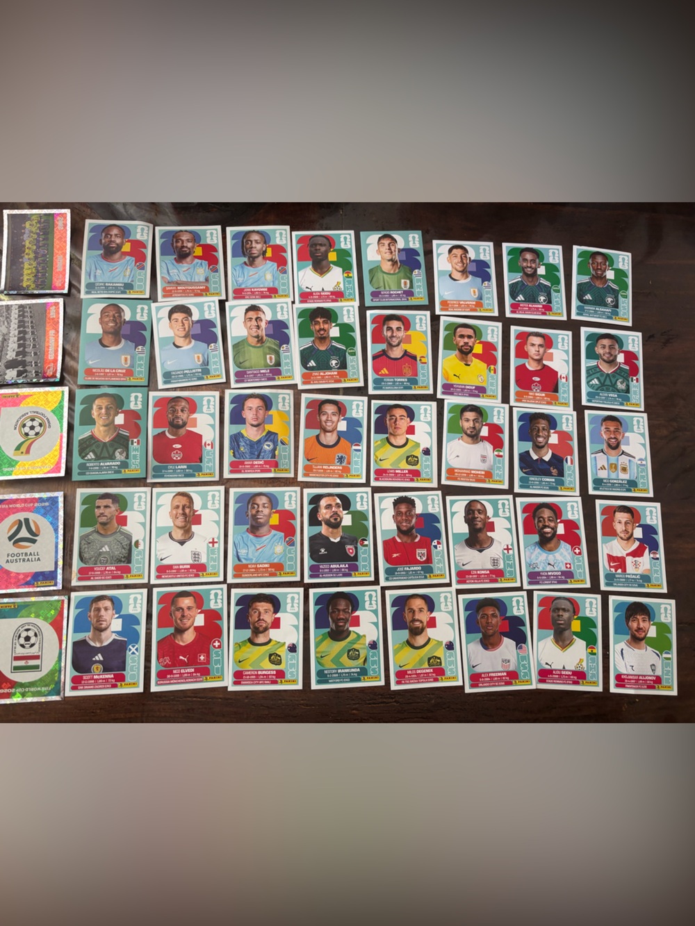 Panini FIFA World Cup Collectible Sticker Lot - Multicolor 45 piece